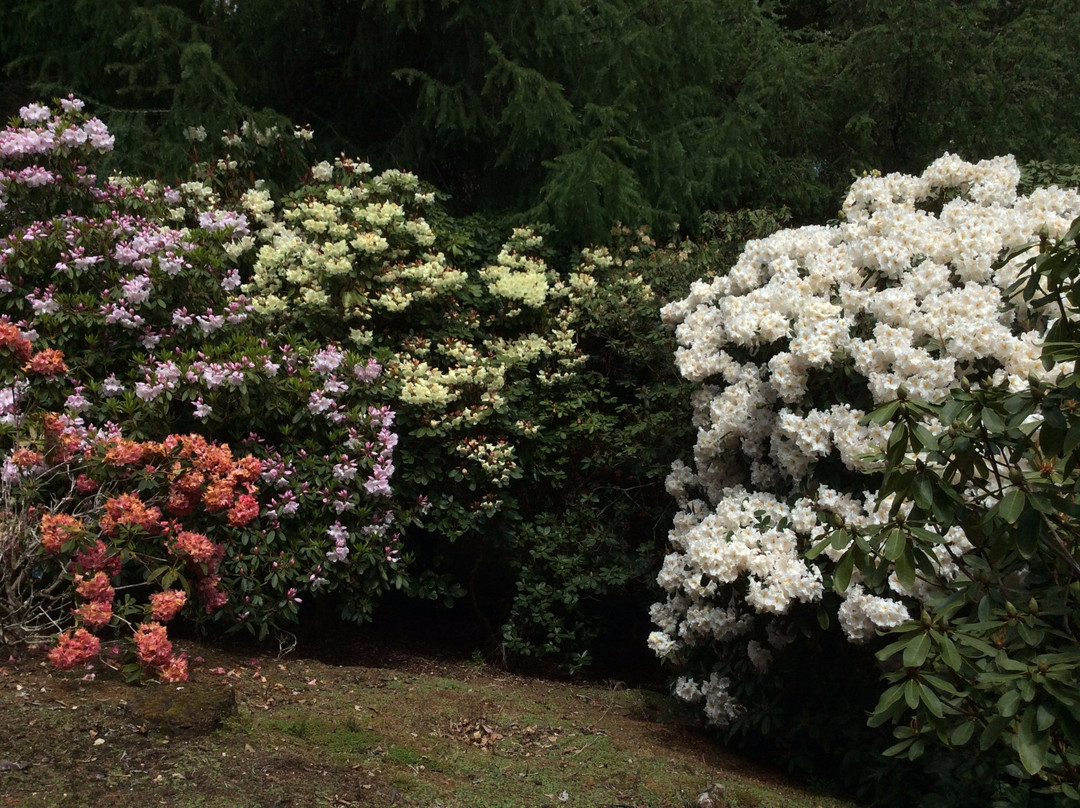 Cross Hills Gardens景点图片