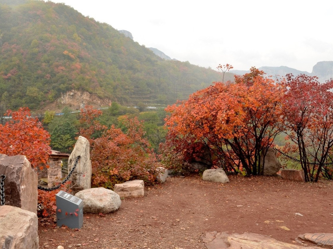 太行大峡谷景区-林州市必去景点
