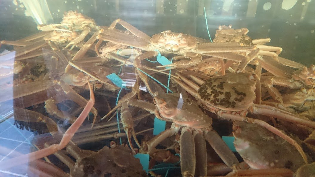 Minsyuku Yamaju主图