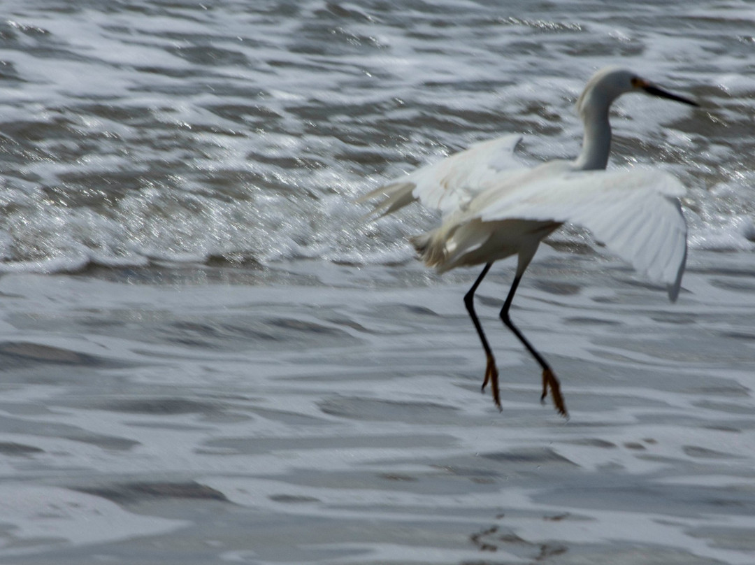 Itapiruba Beach-Laguna必去景点