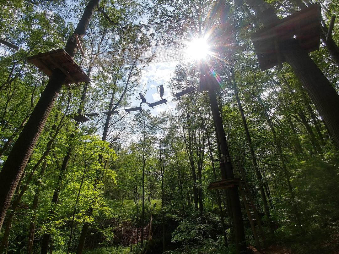 Radical Lines Aerial Adventure Park景点图片