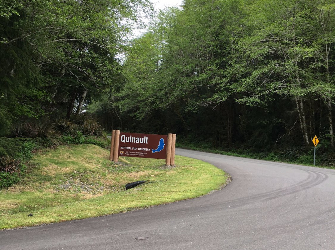 Quinault National Fish Hatchery景点图片