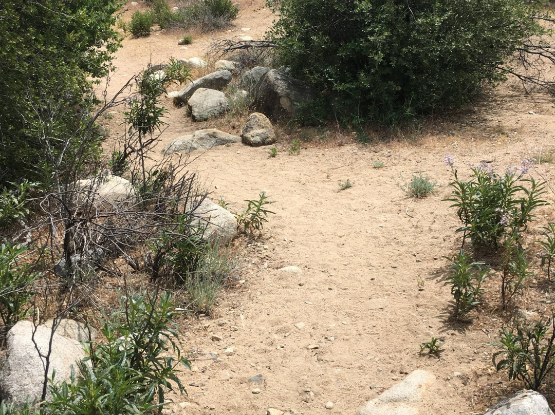 Whiskey Flat Trail景点图片