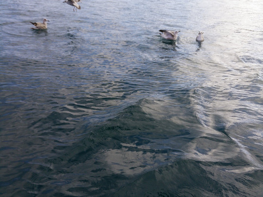 Centre Nautique de Perros-Guirec-皮若斯必去景点