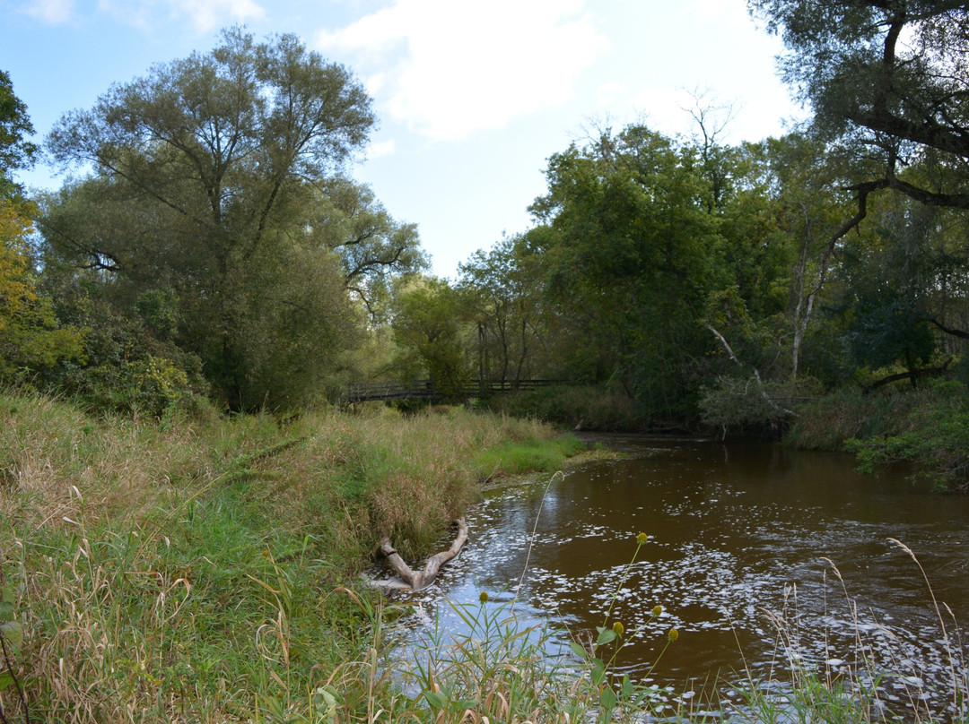 Ellwood H. May Environmental Park景点图片