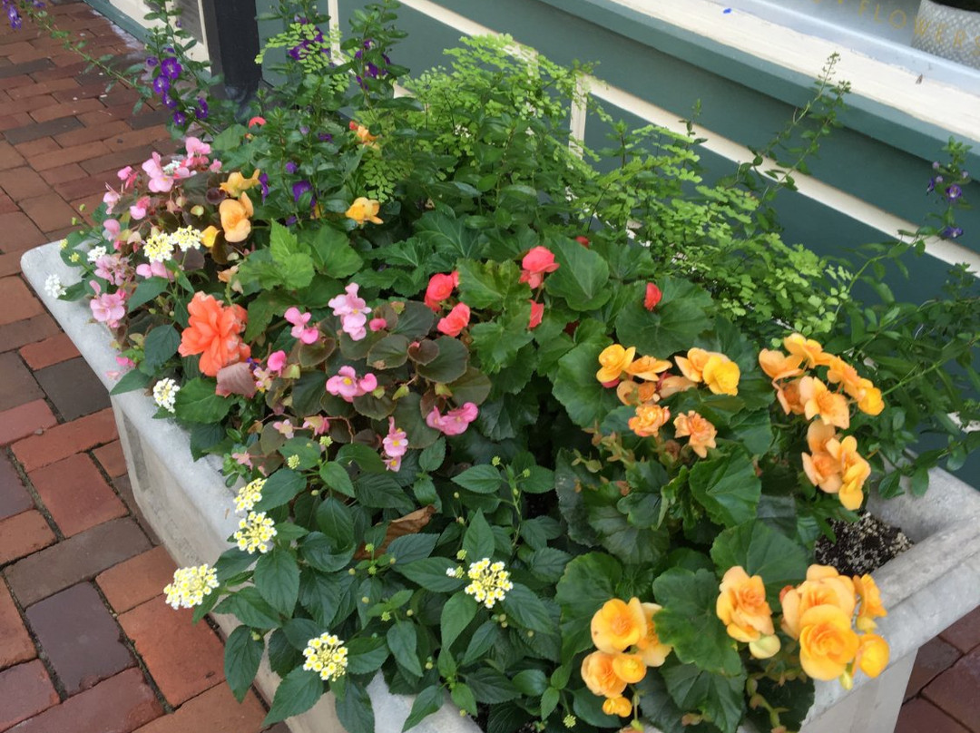 Market Square-Lake Forest必去景点