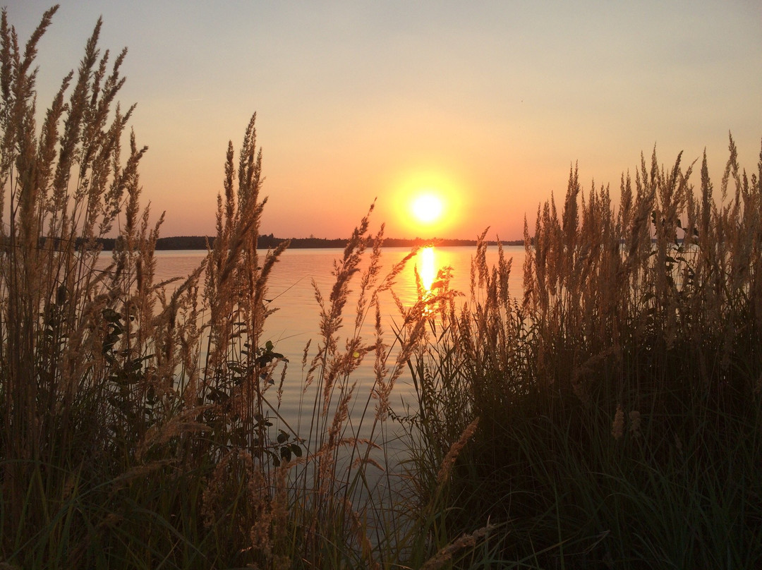 Markkleeberger See-Markkleeberg必去景点