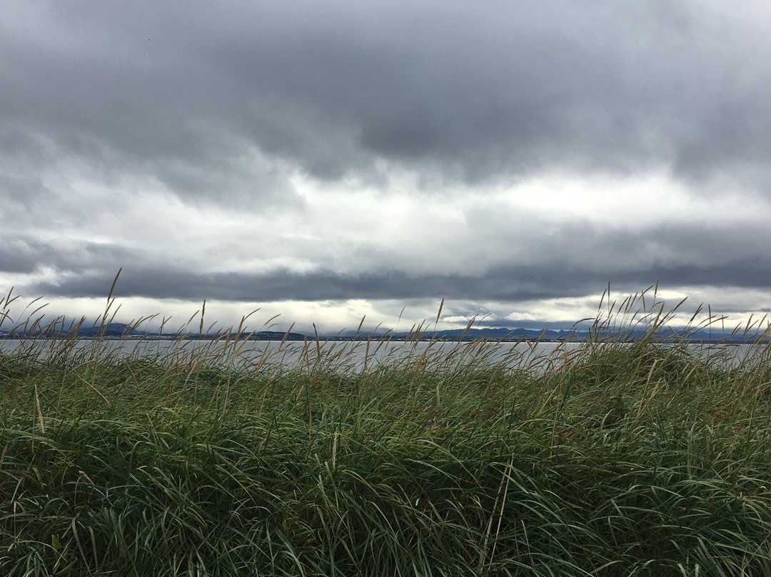 Seltjarnarnes Peninsula Jogging Path-Seltjarnarnes必去景点