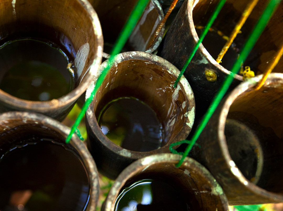 Taste of Yogyakarta-日惹必去景点