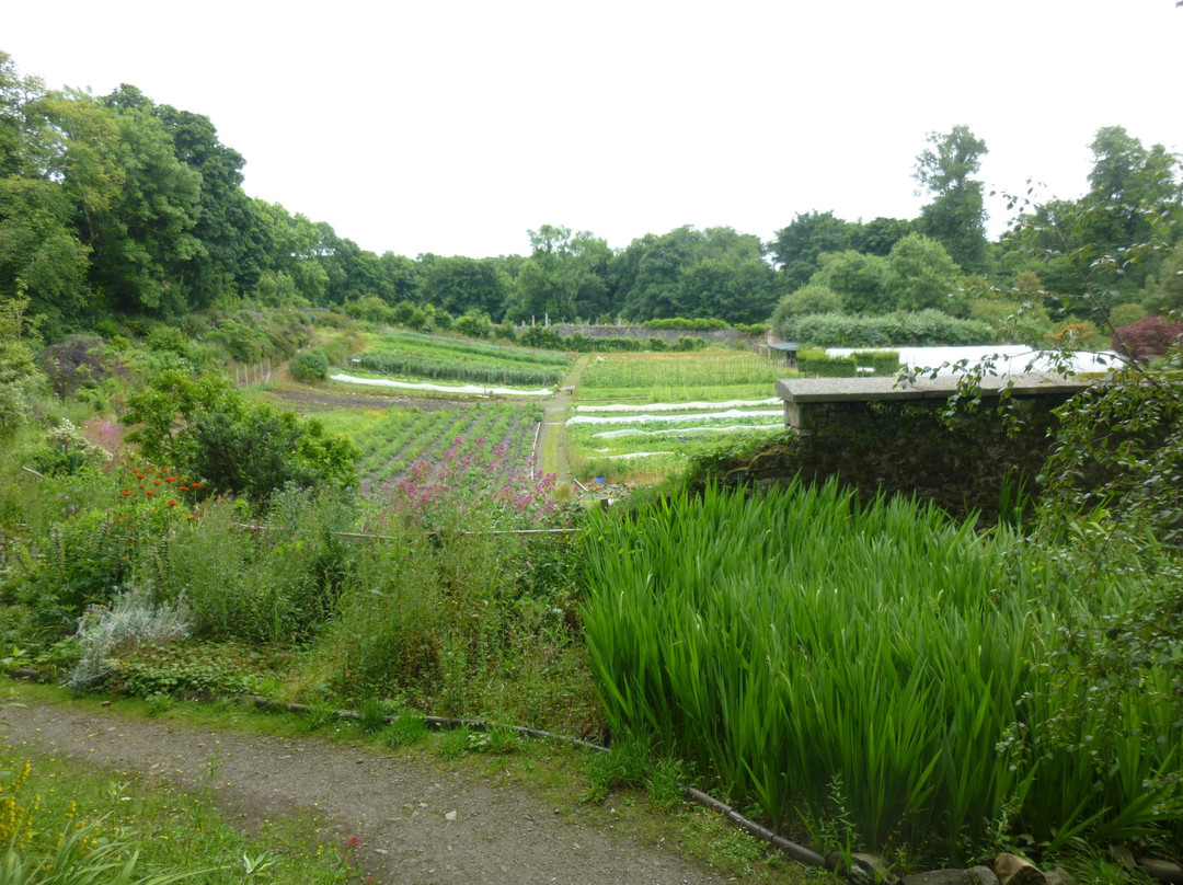 Islay House Community Gardens景点图片