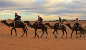 Nejma Morocco Tours景点图片