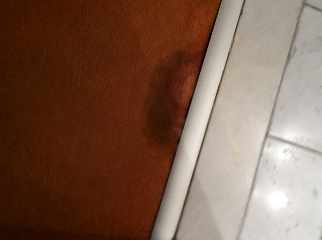 Hotel Bargenturm主图