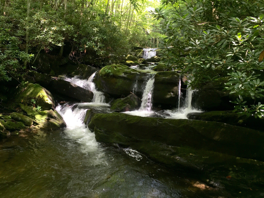 Upper Tremont Road in Great Smoky Mountains National Park-大雾山国家公园必去景点