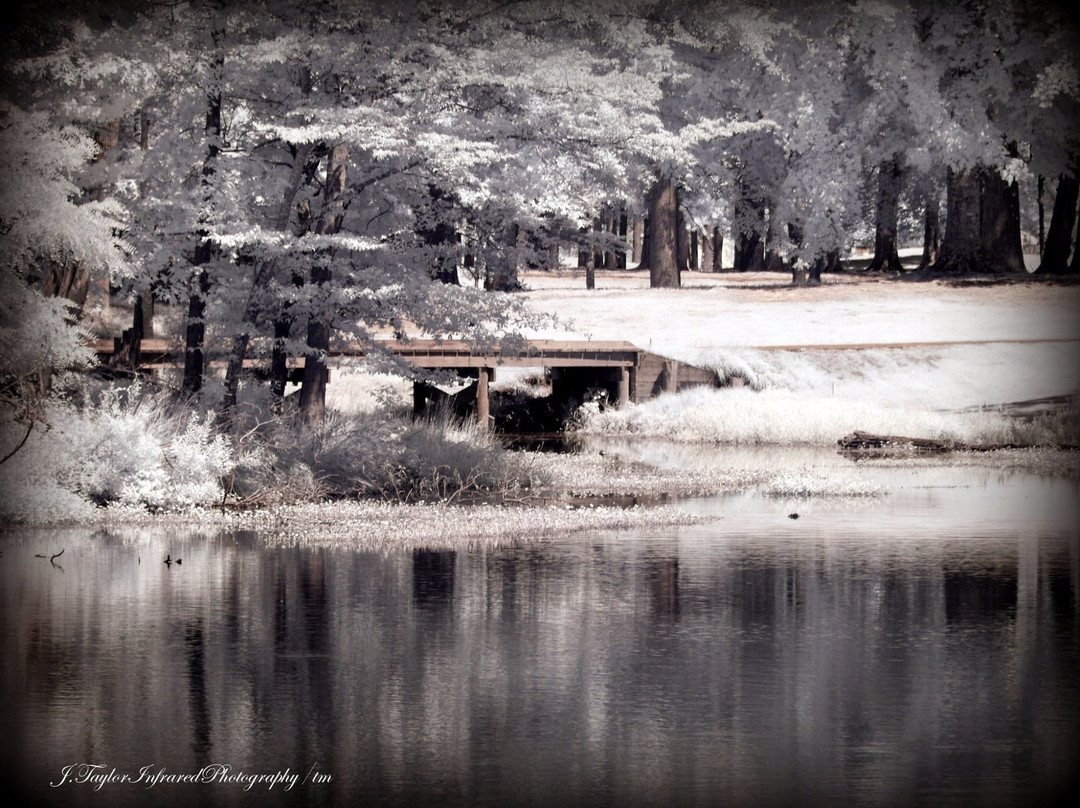 Sleepy Hole Park-Suffolk必去景点