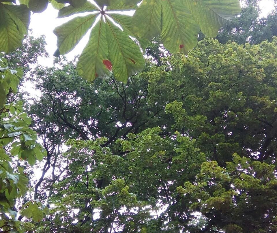 Parc aux animaux du Bois de la Bâtie-日内瓦必去景点