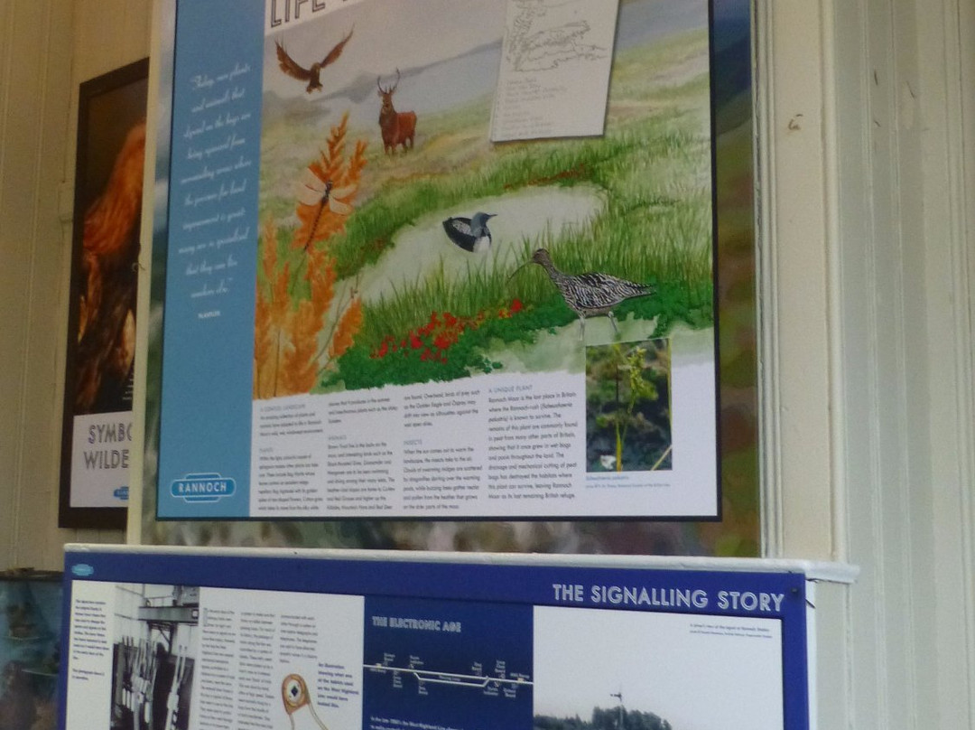 Rannoch Moor Visitor Centre-Kinloch Rannoch必去景点