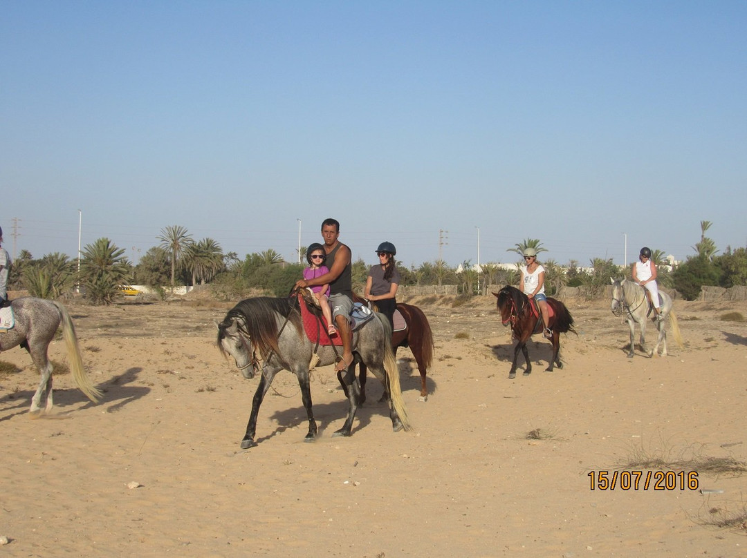 Ranch Yassmina Djerba La Douce景点图片