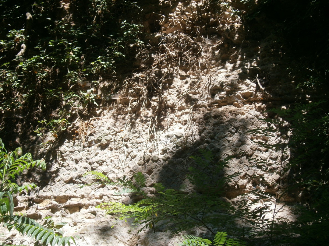 Sito Archeologico Dell'antica Cales景点图片
