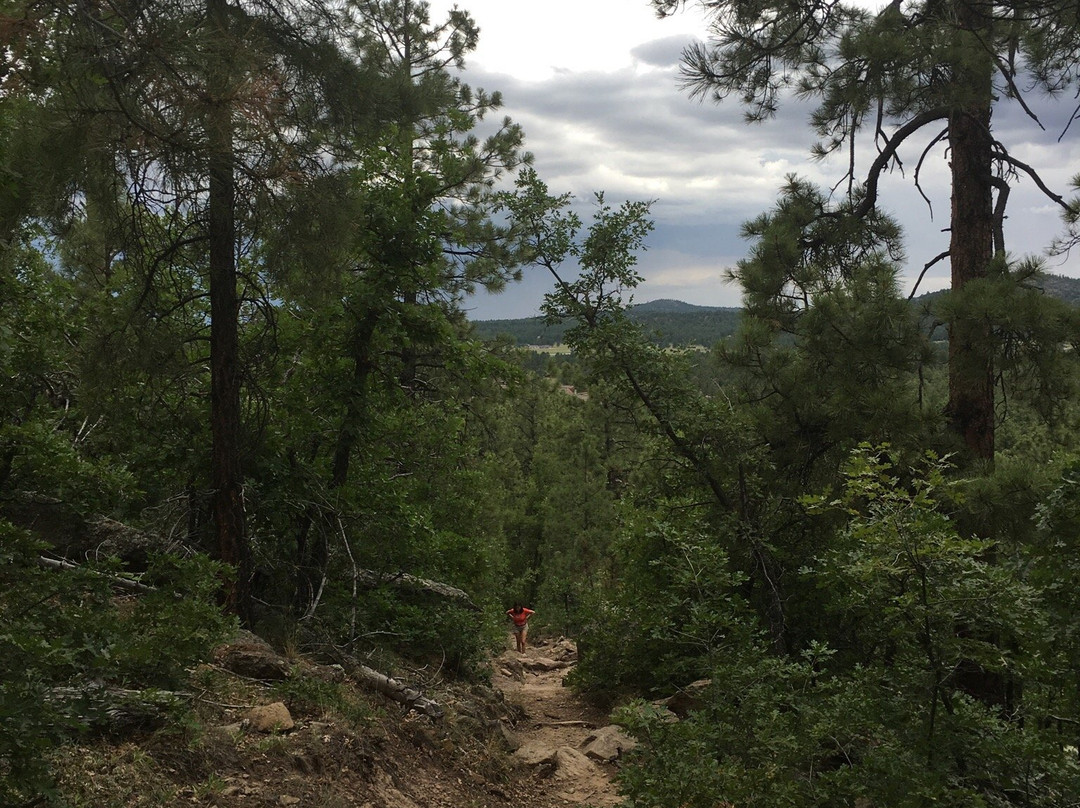 Bill Williams Mountain-威廉姆斯必去景点