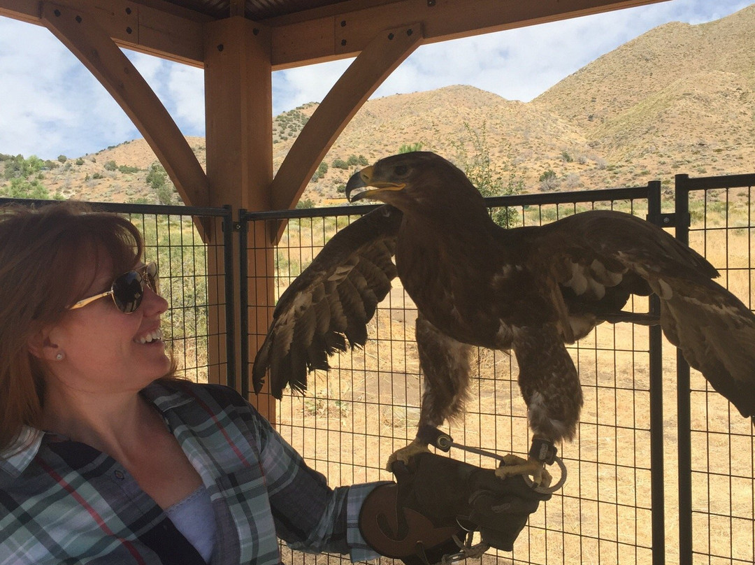 Raptor Adventures-里诺必去景点