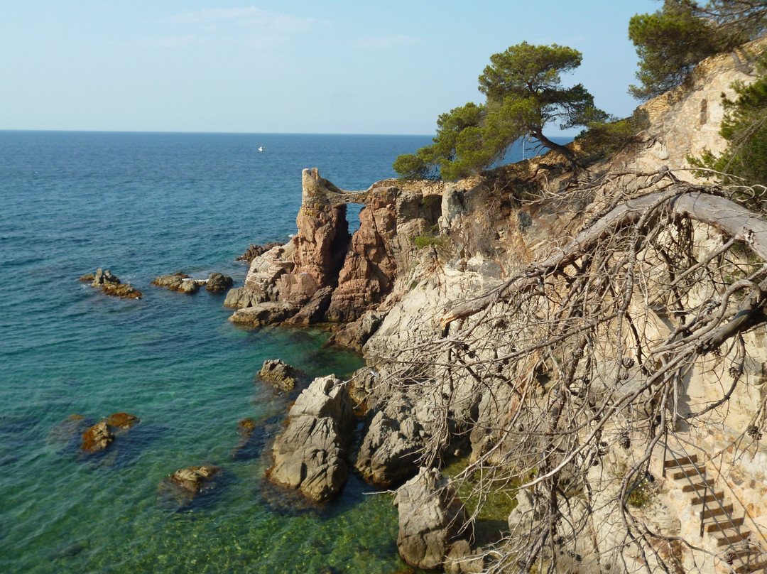 Puig de Castellet Iberian Settlement景点图片