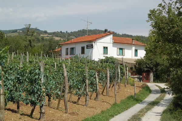 B&B il Castellare