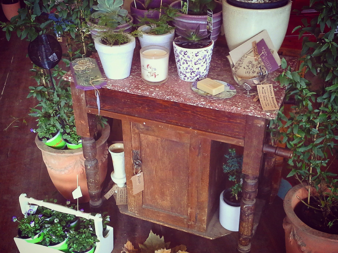 Botanica Romantica-Harden-Murrumburrah必去景点