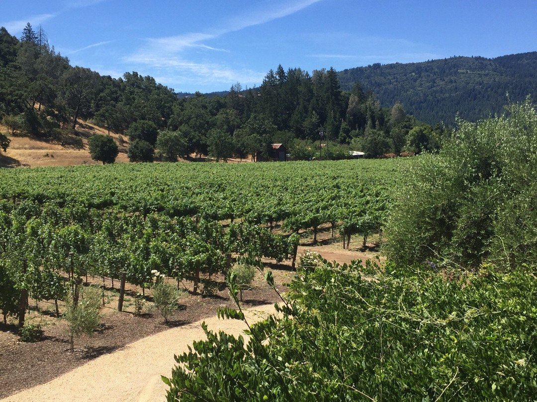 Venge Vineyards-卡利斯托加必去景点