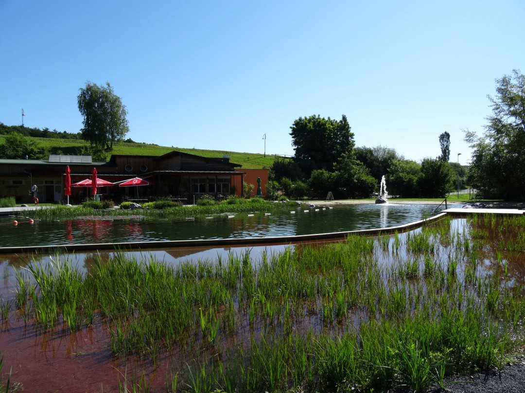 Trössengraben旅游景点-Naturschwimmteich Jagerberg