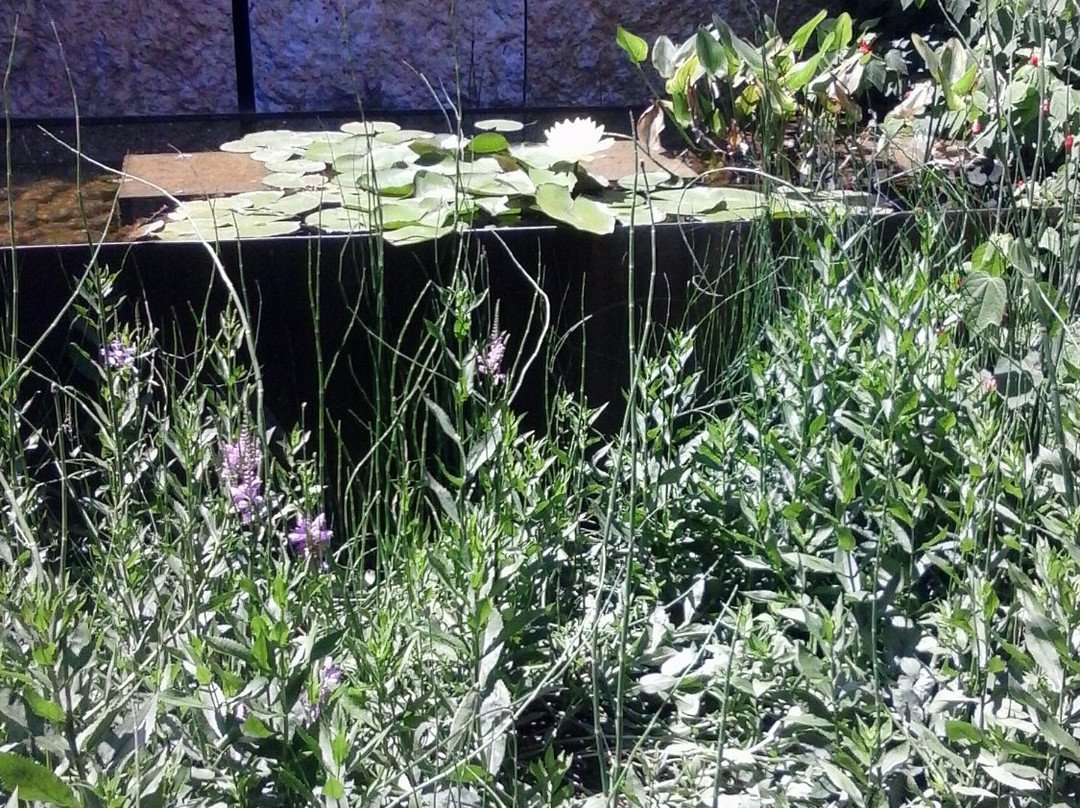 Phil Hardberger Park-圣安东尼奥市必去景点