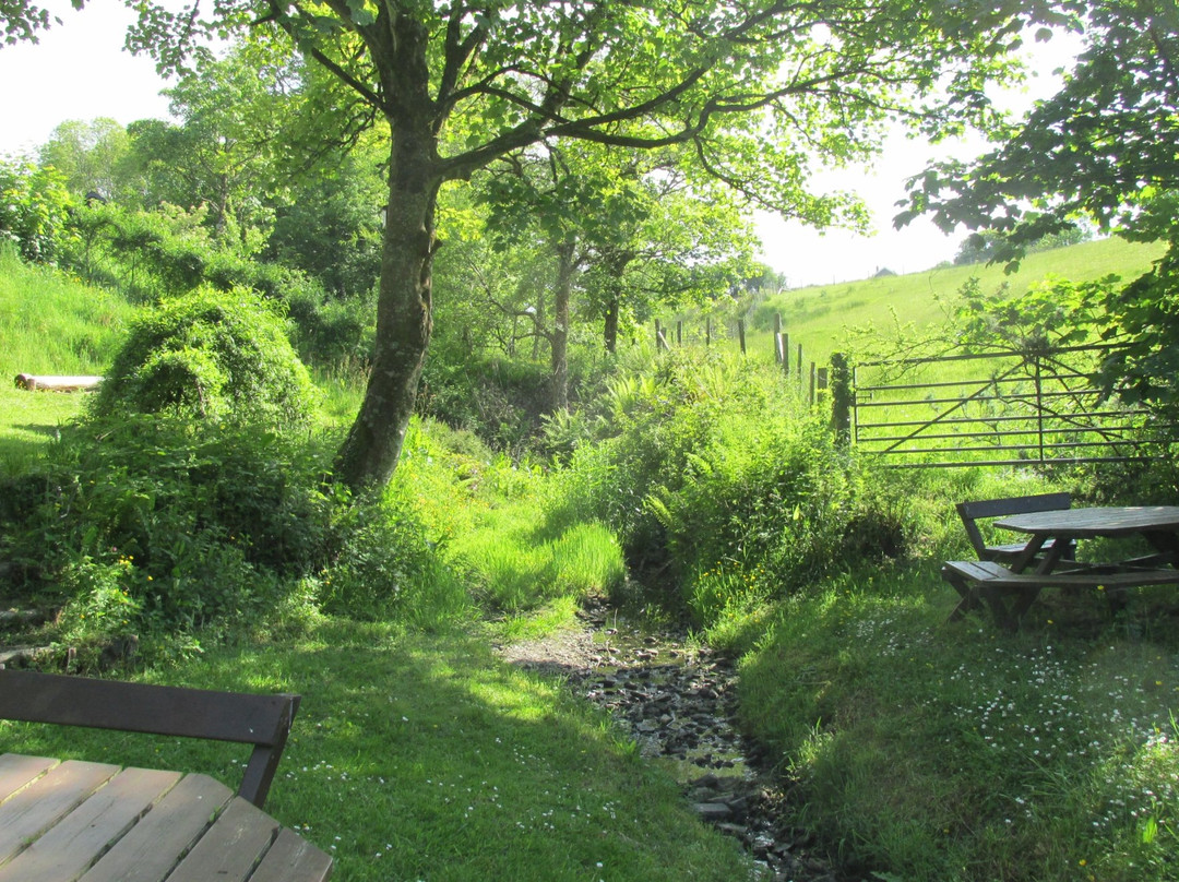 Cross Inn旅游攻略图片