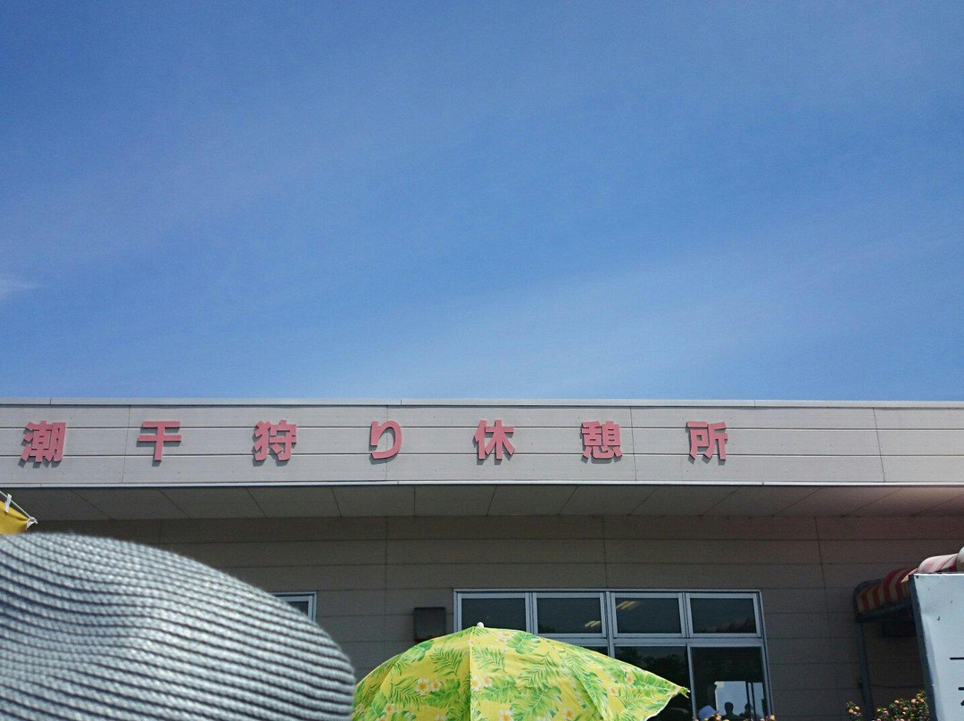 Futtsu Beach-富津市必去景点