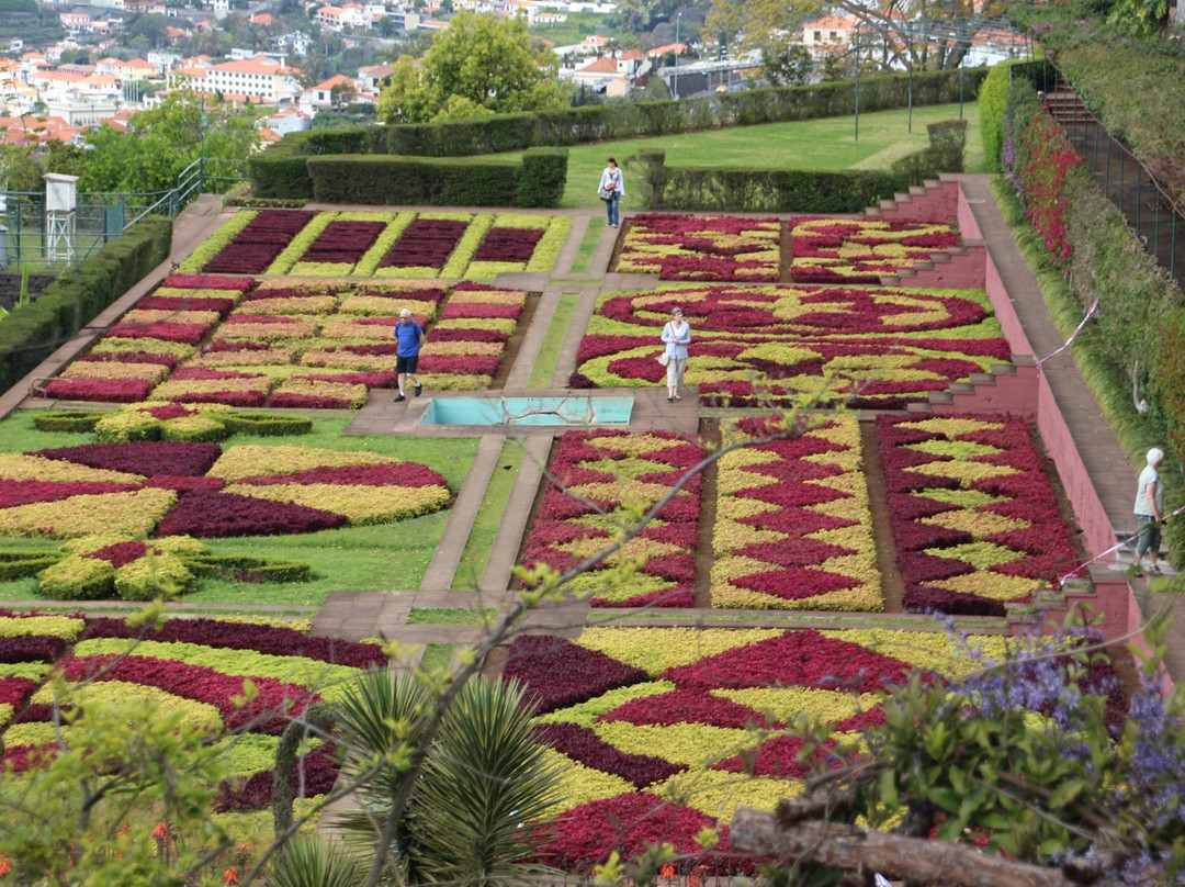 Madeira Botanical Garden景点图片