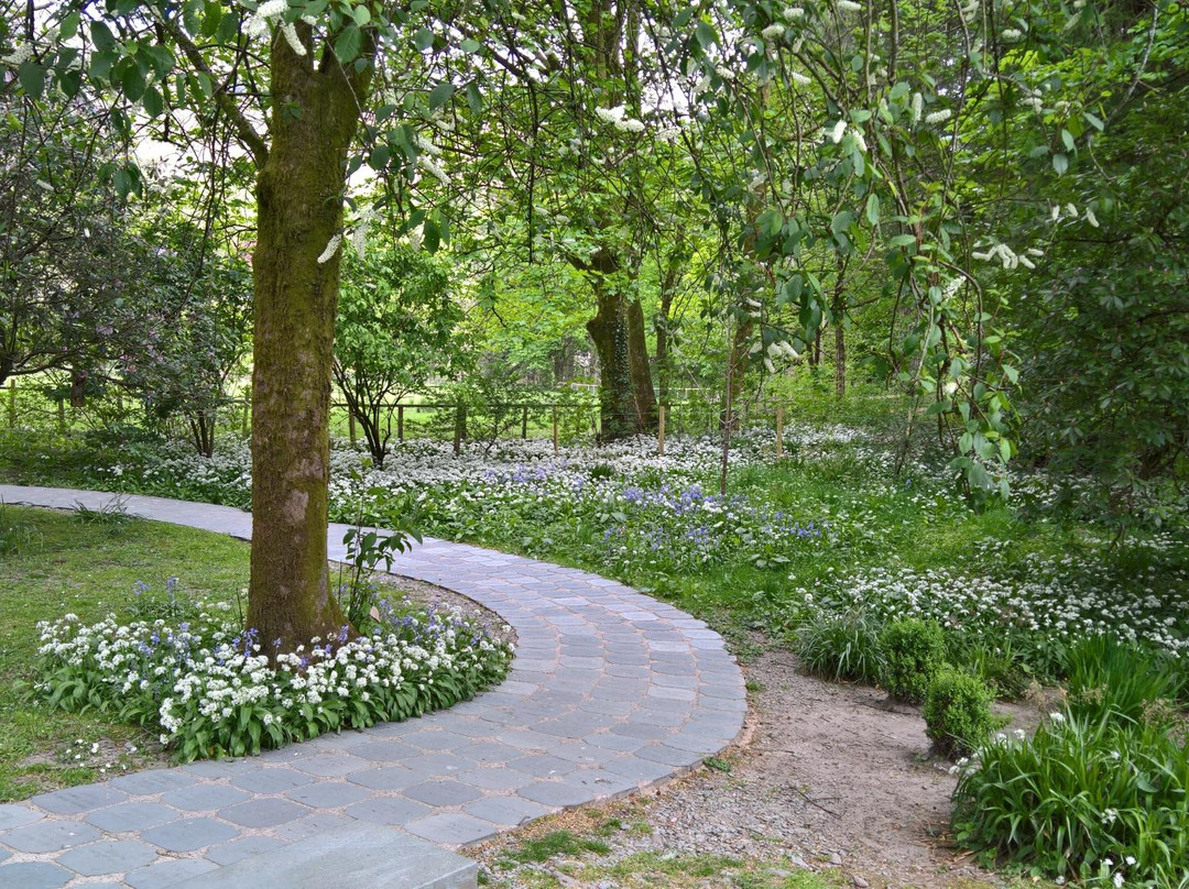 Wordsworth Daffodil Garden景点图片