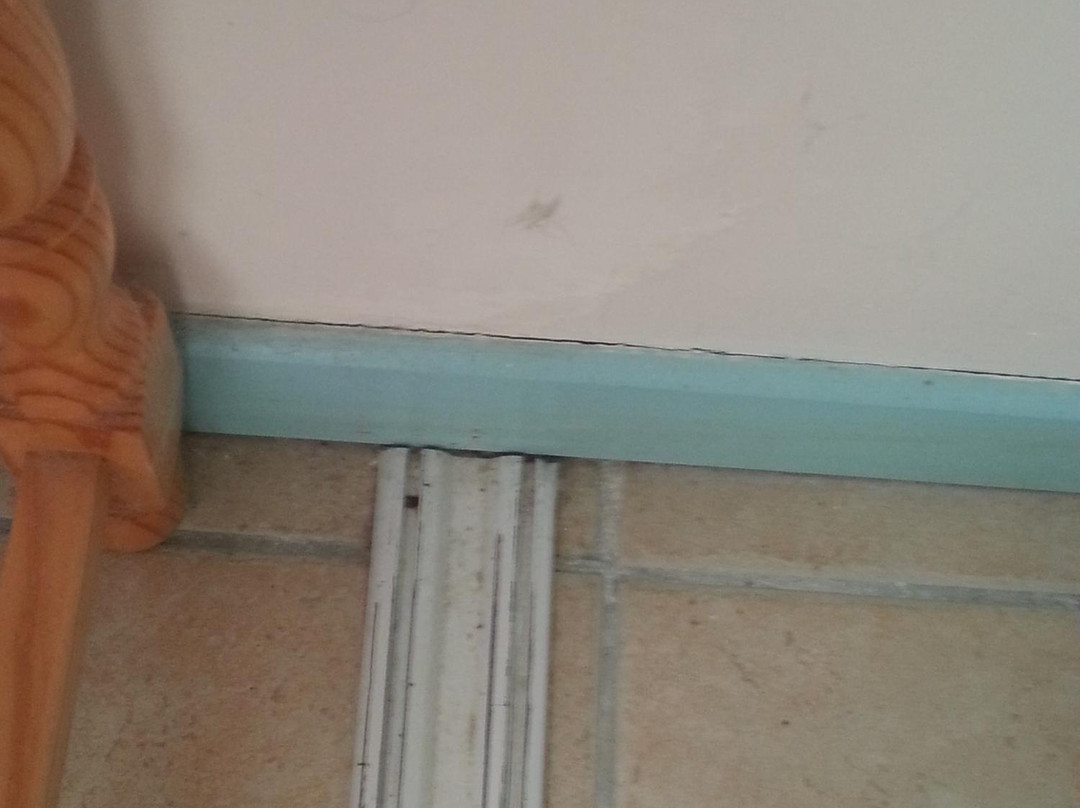 Domaine de la Chasse主图