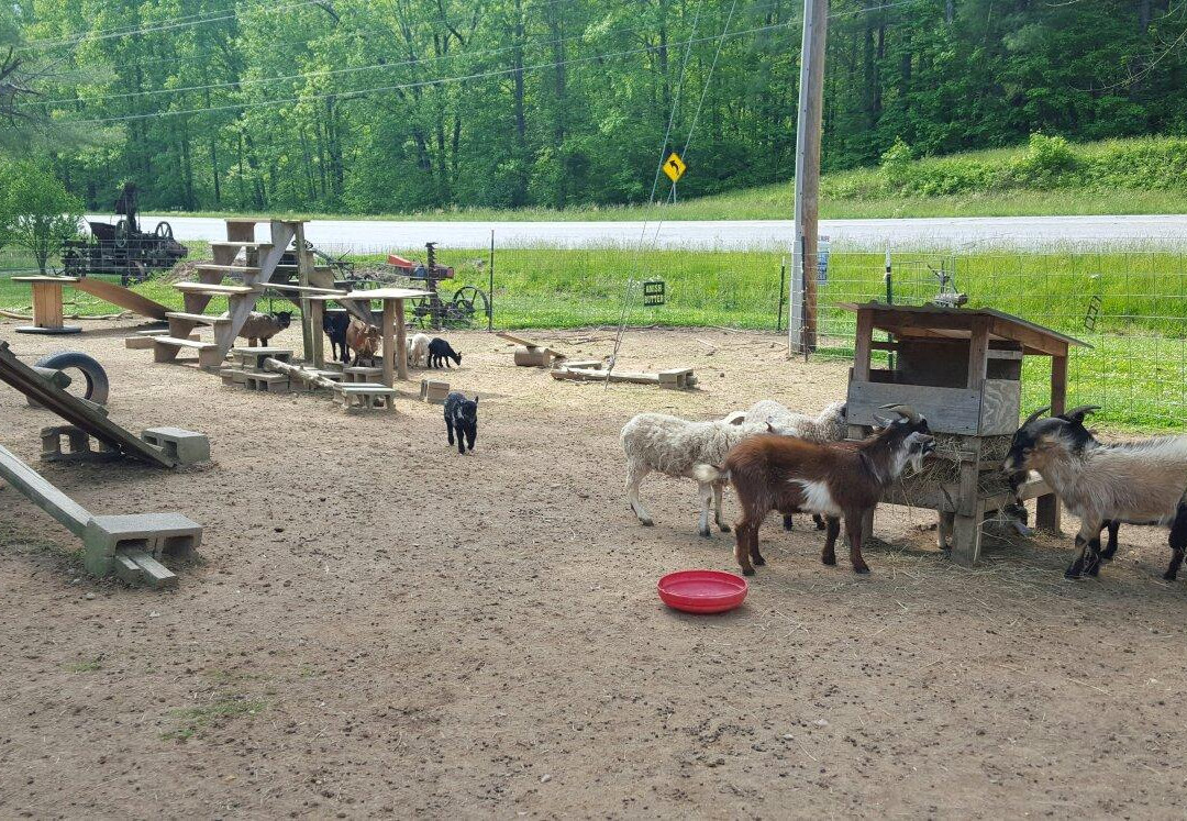 Happy Goat Trading Co-Blairsville必去景点