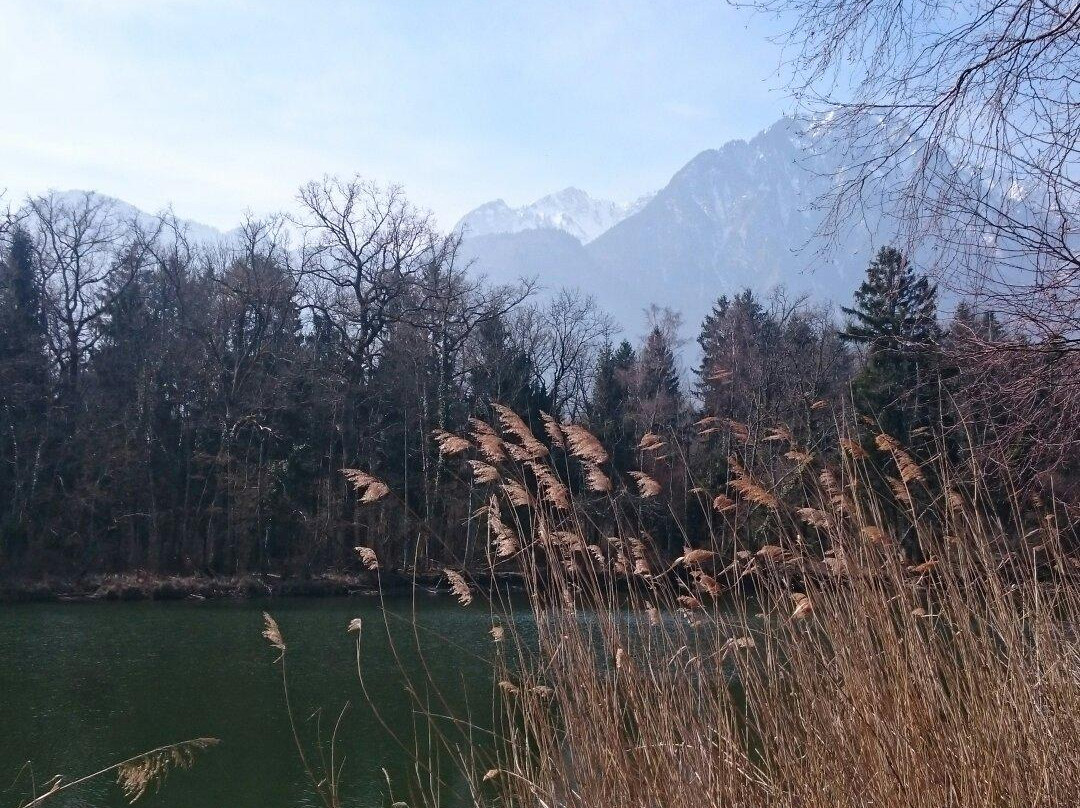 Plage des Grangettes景点图片