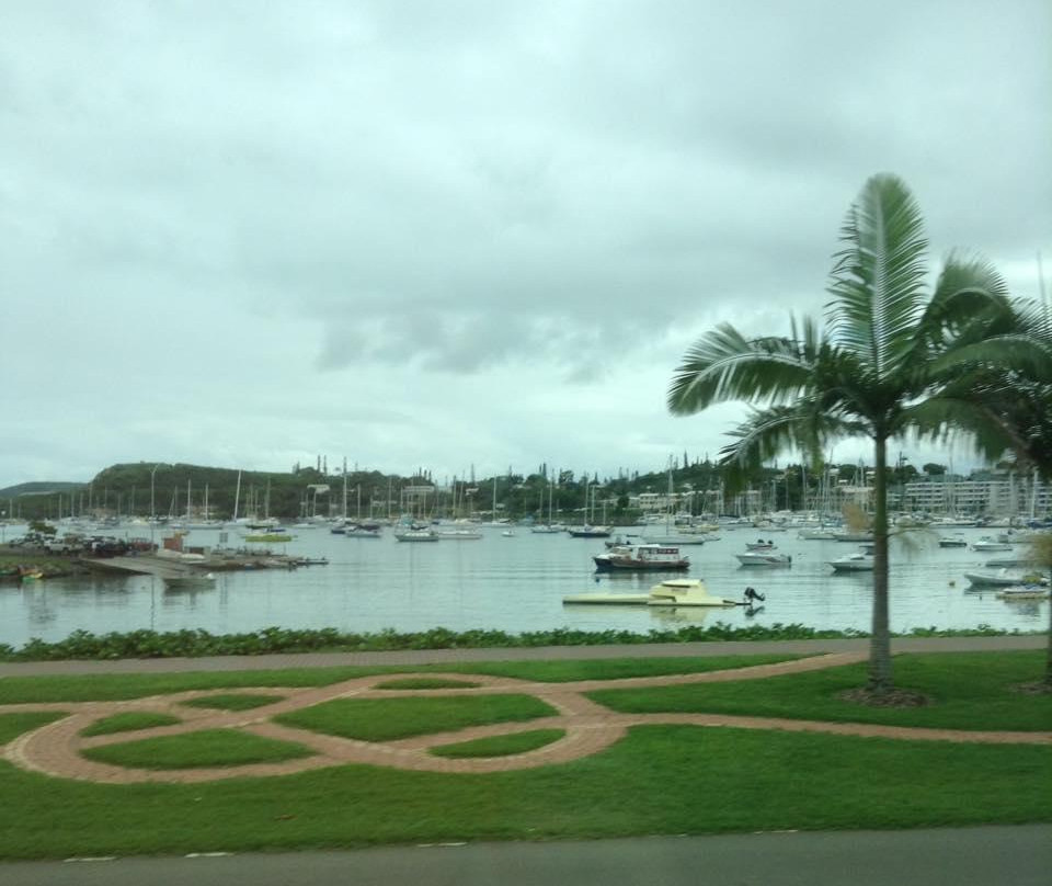 Guided City Orientation Tour