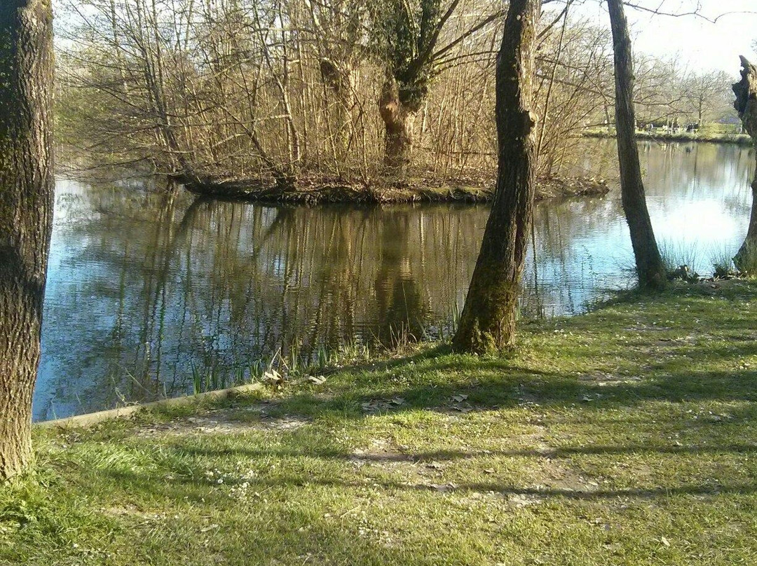 Lac des Carolins景点图片