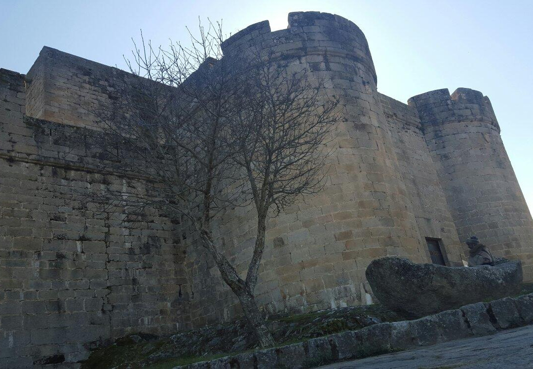 Castillo de Los Condes de Benavente景点图片