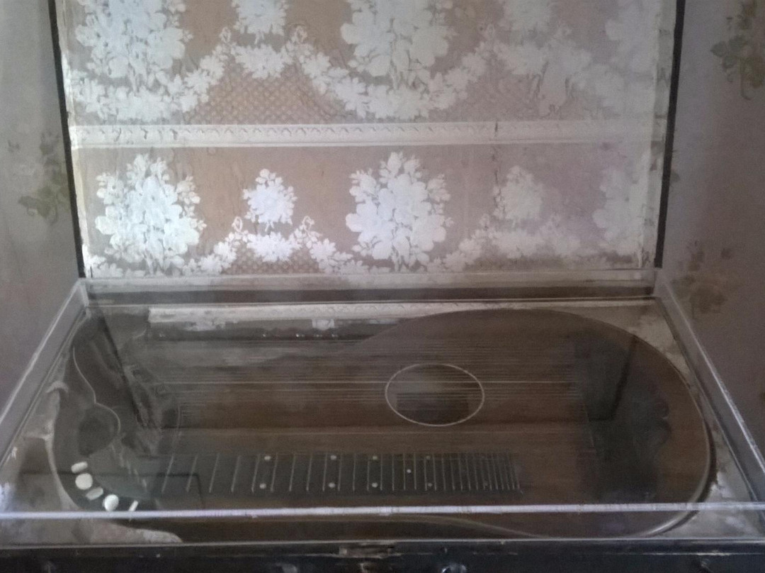 Museo Historico y Antropologico-瓦尔迪维亚必去景点