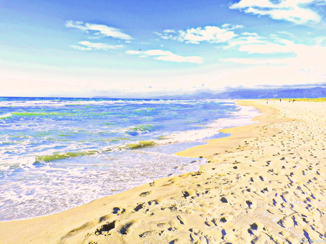 Spiaggia Marina Di Vecchiano景点图片