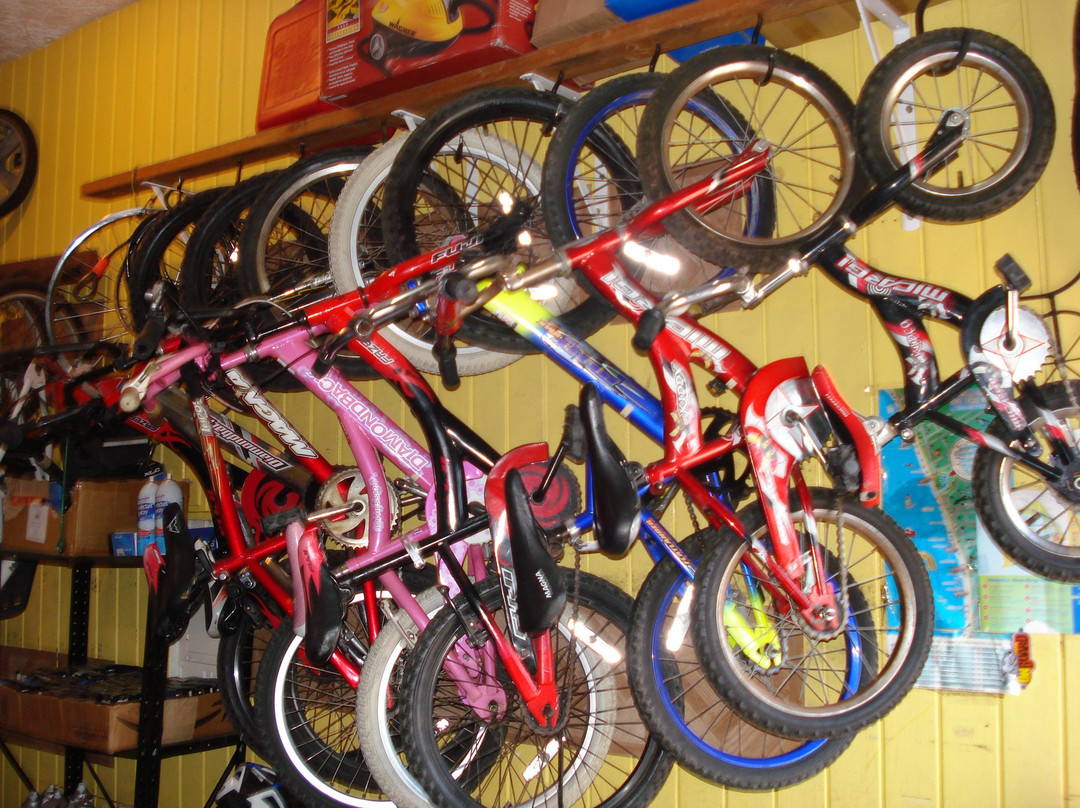 Daniels Bicycle Rentals and Sales-玛丽安德尔湾必去景点