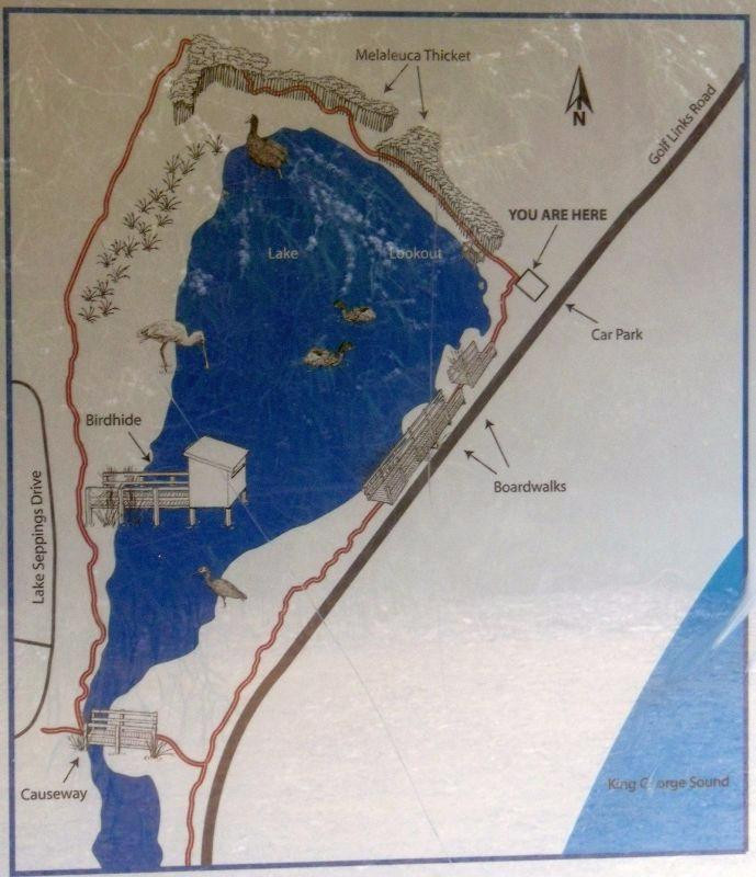 Lake Seppings-奥尔巴尼必去景点