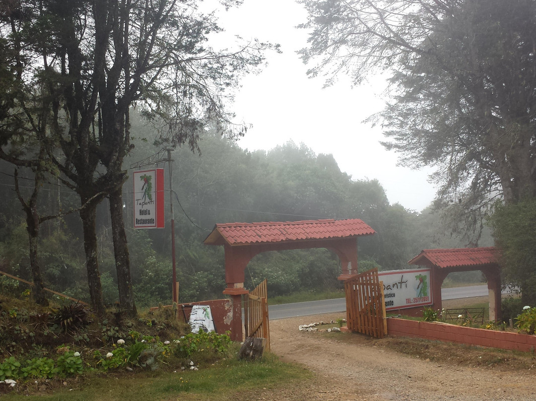 Albergue Turístico Tapanti主图