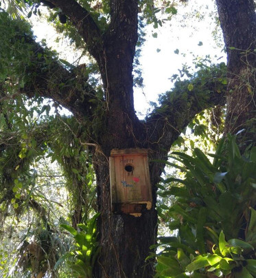 Happehatchee Center-埃斯特罗必去景点