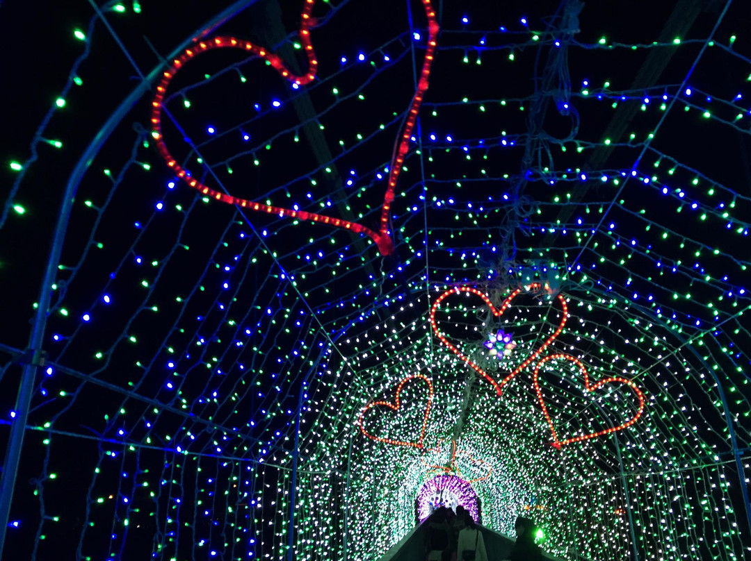 Miyagase Christmas Illumination景点图片