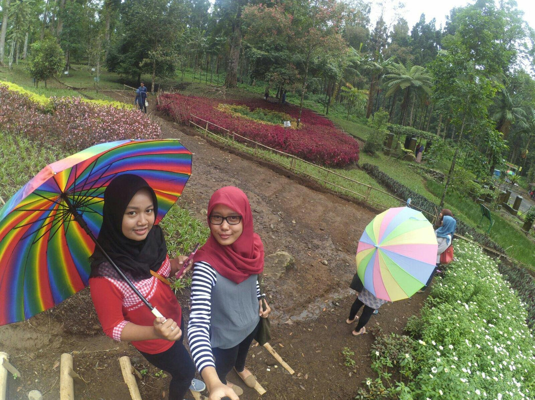 Baturaden Botanical Garden景点图片