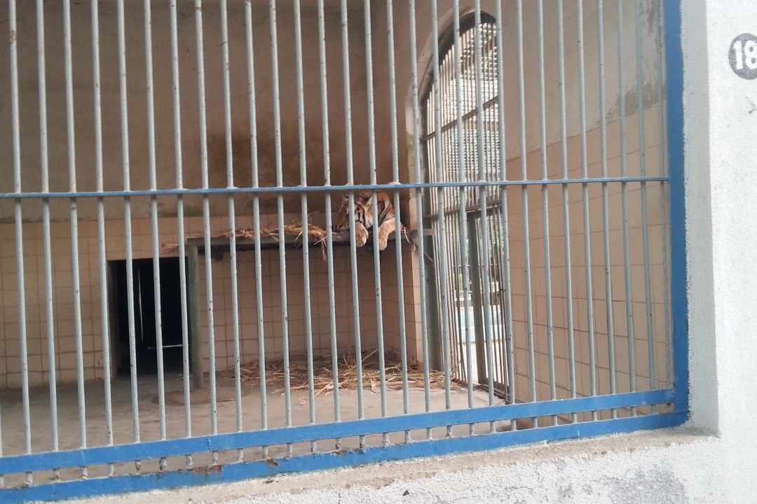 Karachi Zoo-卡拉奇必去景点