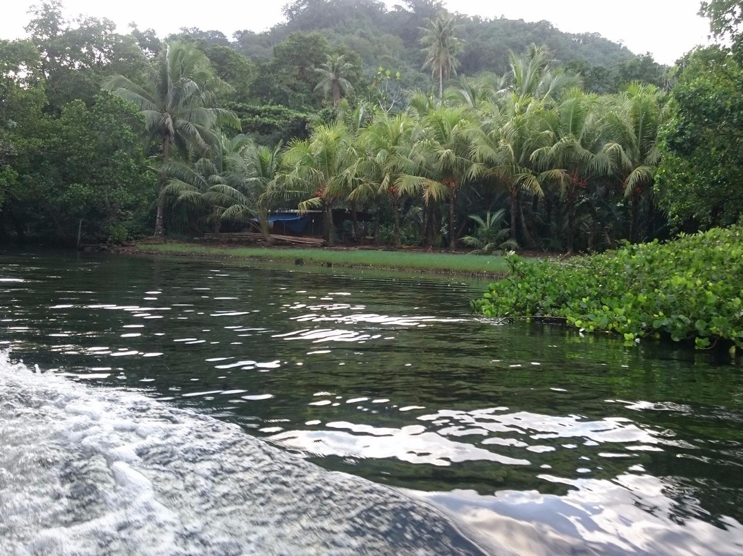 Yela Valley Ka Forest-Kosrae必去景点